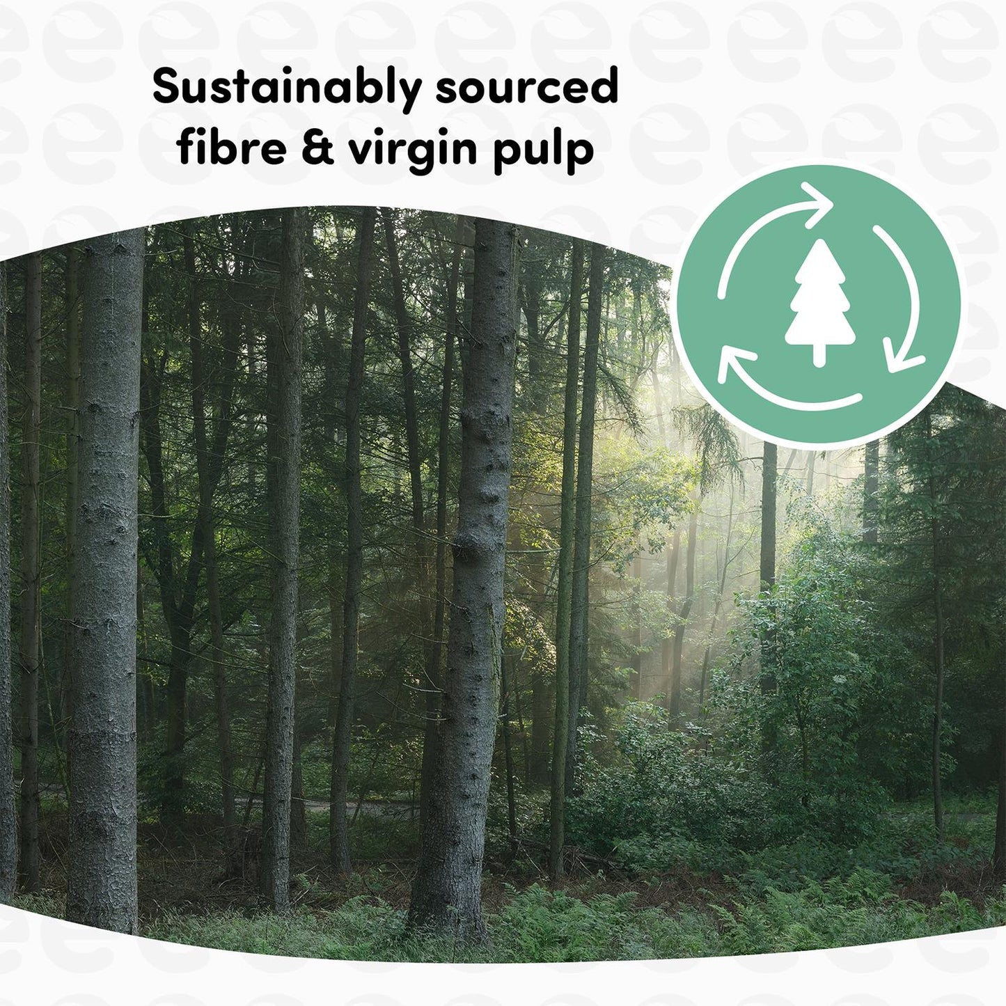 Splesh Toilet Roll Soft & Quilted 3-Ply Original White Toilet Tissue, 12 Rolls